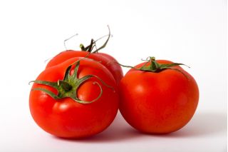 Tomate 'Ikarus' - späte, witterungsbeständige Freilandtomate