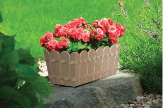 Holzmaserbox "Elba" - 40 cm - grau-beige - 