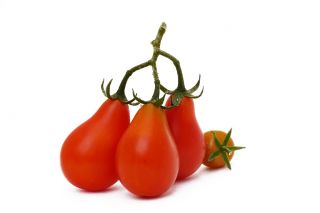 Kirsebærtomater - Radana - Lycopersicon esculentum - frø