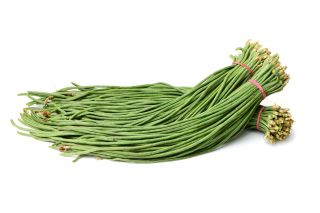 Schlangenbohne, Meterbohne  'Metro rouge' - ideal für die Gemüsespaghetti; Kuhbohne, Schwarzaugenbohne, Schlangenbohne