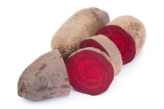Beetroot "Kier" - silinder, akar panjang - 500 biji - Beta vulgaris - benih