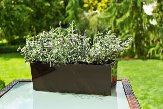 "Begonia" balcony set - 19 x 56 cm - mocha-brown