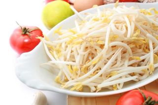 Semințe de germinare - pachet mare - set de 6 piese - 