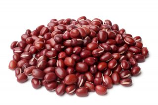Semillas que brotan - Brotes ricos en vitamina B - Juego de 9 piezas + sprouter con 3 bandejas - 