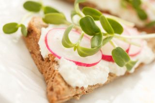 Semillas que brotan - Brotes ricos en vitamina B - Juego de 9 piezas + sprouter con 3 bandejas - 