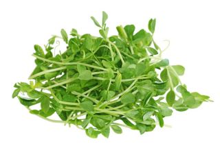 Semillas que brotan - Brotes ricos en vitamina B - Juego de 9 piezas + sprouter con 3 bandejas - 
