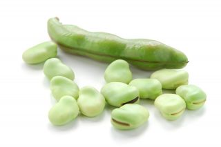 Broad bean "Bonus" - medium-early variety