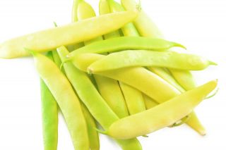 Yellow French bean "Merveille de Venise" - needs staking