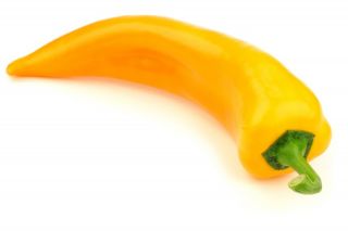 Sweet Pepper - Ornela - Sweet Yellow, Elongated Horns, Versatile Use - Fresh Seeds