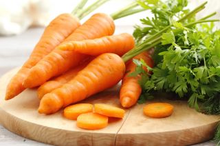 Morcov "Aron F1" - soiuri timpurii - 4250 de semințe - Daucus carota ssp. sativus 