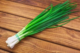 Cebolla de verdeo - Kaigaro - Allium fistulosum  - sementes