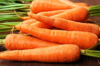 Zanahoria - Senior F1 - Daucus carota - semillas