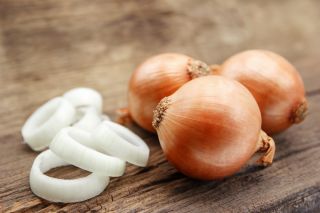 Bawang sederhana lewat 'Cyklop' -   Allium cepa - Cyklop - benih