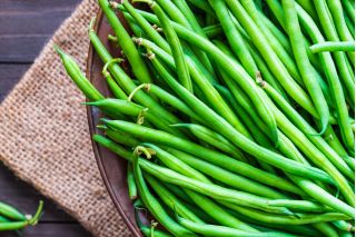Kacang Prancis Kerdil 'Urania' -   Phaseolus vulgaris - Urania - biji