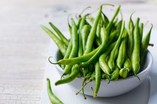 Kacang Prancis Kerdil 'Urania' -   Phaseolus vulgaris - Urania - biji