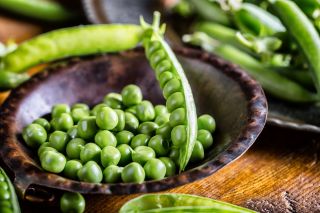 Shelling pea 'Biznes' - medium late