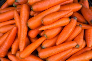 Carote - Jagna - semi pellettati - Daucus carota ssp. sativus 