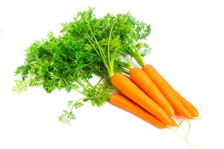 Carote - Jagna - semi pellettati - Daucus carota ssp. sativus 