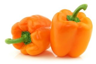 Sladký pomerančový pepř „Etude“ - 10 g -  Capsicum annuum - semena
