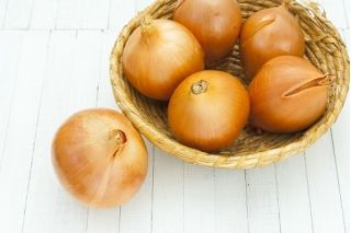 Matlök - Wolska - behandlade frön - Allium cepa