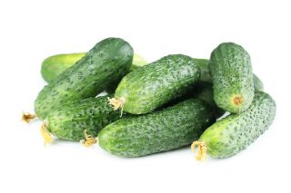  Pepino - Cornichon de Paris - semillas tratadas - Cucumis sativus