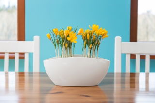 Caja de orquídeas "Luna" para dos plantas - 37 cm - blanco cremoso - 