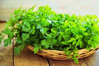 أوراق البقدونس "ناتاليا" - أوراق سلسة وعطرية -  Petroselinum crispum - Natalka - ابذرة