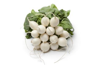 Radish "Aphrodite" - white, shiny, smooth skin - 425 seeds