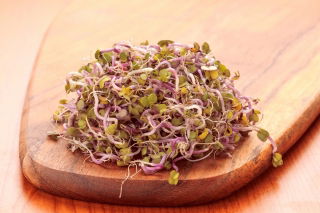 Keimsprossen - Radieschen - China Rose - 500 g - Nährstoffreich, würzig-pikant - Samen