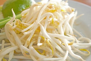 BIO Sprouting seeds - Mung bean - certified organic seeds