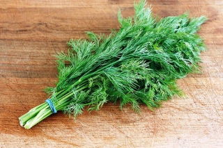 Dill 'Lukullus' - 100 g -  Anethum graveolens - hạt