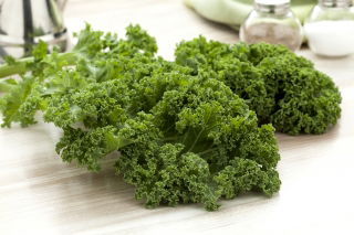 Kale "Vitessa" - pale green, medium tall - 600 seeds