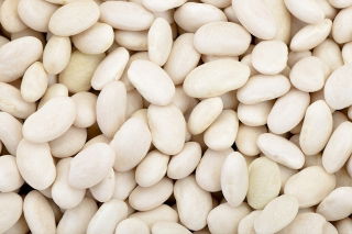 Haricot nain - Igolomska - à grains secs - 500 g - Graines