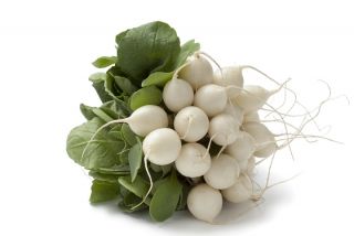 Radieschen "Tondo Bianco" - weiß - 385 Samen