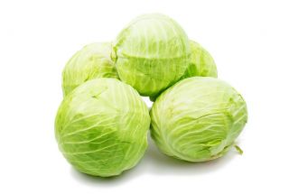 白キャベツ「ファンタジー」 - 屋外および保護カバーの下での栽培用 - Brassica oleracea convar. capitata var. alba - シーズ