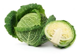 Savojská kapusta "Mira Polana" - bez náznaku horkosti - 325 semien - Brassica oleracea var. sabauda  - semená
