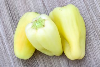 Biber "Mira" - 80 tohum - Capsicum L. - tohumlar