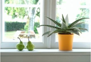 Round flower pot - Fiołek - 11 cm - Pumpkin