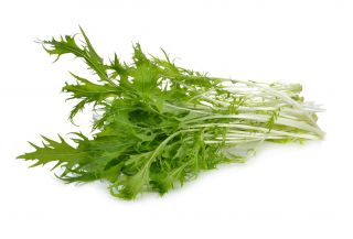 Japanese salad "Frizzy Joe"