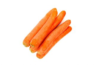 Morcov "Valor F1" - varietate timpurie - 1275 de semințe - Daucus carota ssp. sativus 