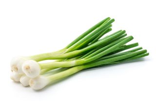 Valgomasis svogūnas - Aviv - 1000 sėklos - Allium cepa L.