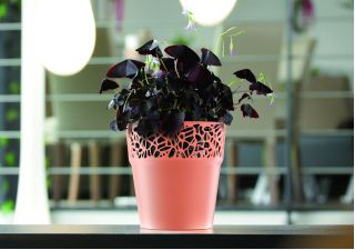 Ronde bloempot met kant - 17,5 cm - Naturo - Creme - 