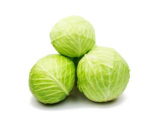 白キャベツ「ファンタジー」 - 屋外および保護カバーの下での栽培用 - Brassica oleracea convar. capitata var. alba - シーズ