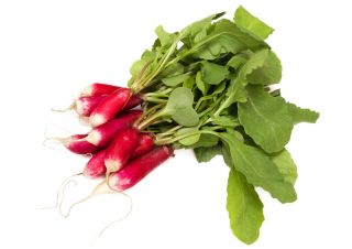 Lobak "Mila" - merah dengan tip putih - 850 biji - Raphanus sativus L. - benih