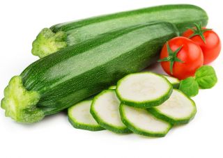 Cukkini - Soraya - Sötétzöld, rendkívül termékeny fajta - Friss vetőmagok