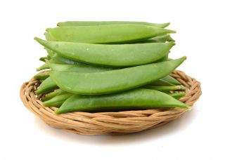 Pois cultivé - Boogie - Pisum sativum - graines