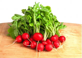 Ravanello "Cherry Belle" - SEMENTI RIVESTITI - 