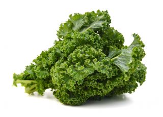 Kale - Kadet - Tall, Curled, Frost-Hardy Leaves - Fresh Seeds