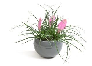 Round flower pot - Kula - 30 cm - Anthracite