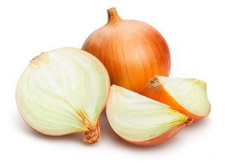 Vanlig løk - Polana - 1000 frø - Allium cepa L.
